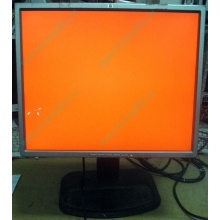 Монитор 19" TFT HP 1955 (DVI в Гольяново, USB-хаб) "квадратный" (Гольяново)