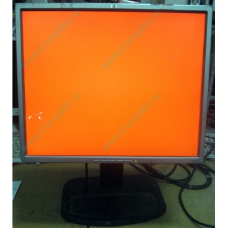 Монитор 19" TFT HP 1955 (DVI в Гольяново, USB-хаб) "квадратный" (Гольяново)