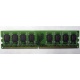 Модуль оперативной памяти 4096Mb DDR2 Patriot PSD24G8002 pc-6400 (800MHz)  (Гольяново)