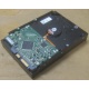 Жесткий диск HP 250Gb 7200 rpm 432337-001/ 399699-001 / 397377-004 (Гольяново)