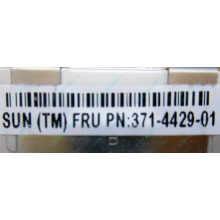 Серверная память SUN (FRU PN 371-4429-01) 4096Mb (4Gb) DDR3 ECC в Гольяново, память для сервера SUN FRU P/N 371-4429-01 (Гольяново)