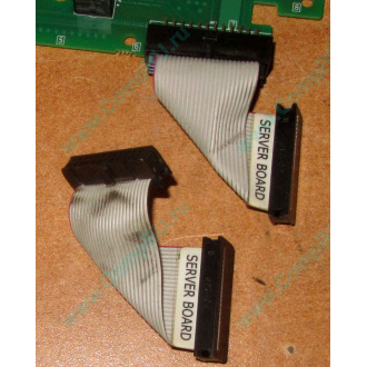 6017B0045701 Шлейф 24 pin для Intel C74974-401 T0043401-B01 корпуса SR2400 (Гольяново)