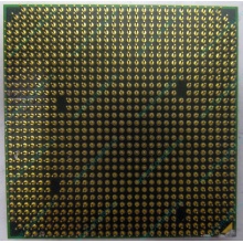 Процессор AMD Athlon 64300+ (1.8GHz) ADA3000IAA4CN s.AM2 (Гольяново)