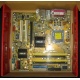 Материнская плата Asus P5L-VM 1394 s.775 (Гольяново)
